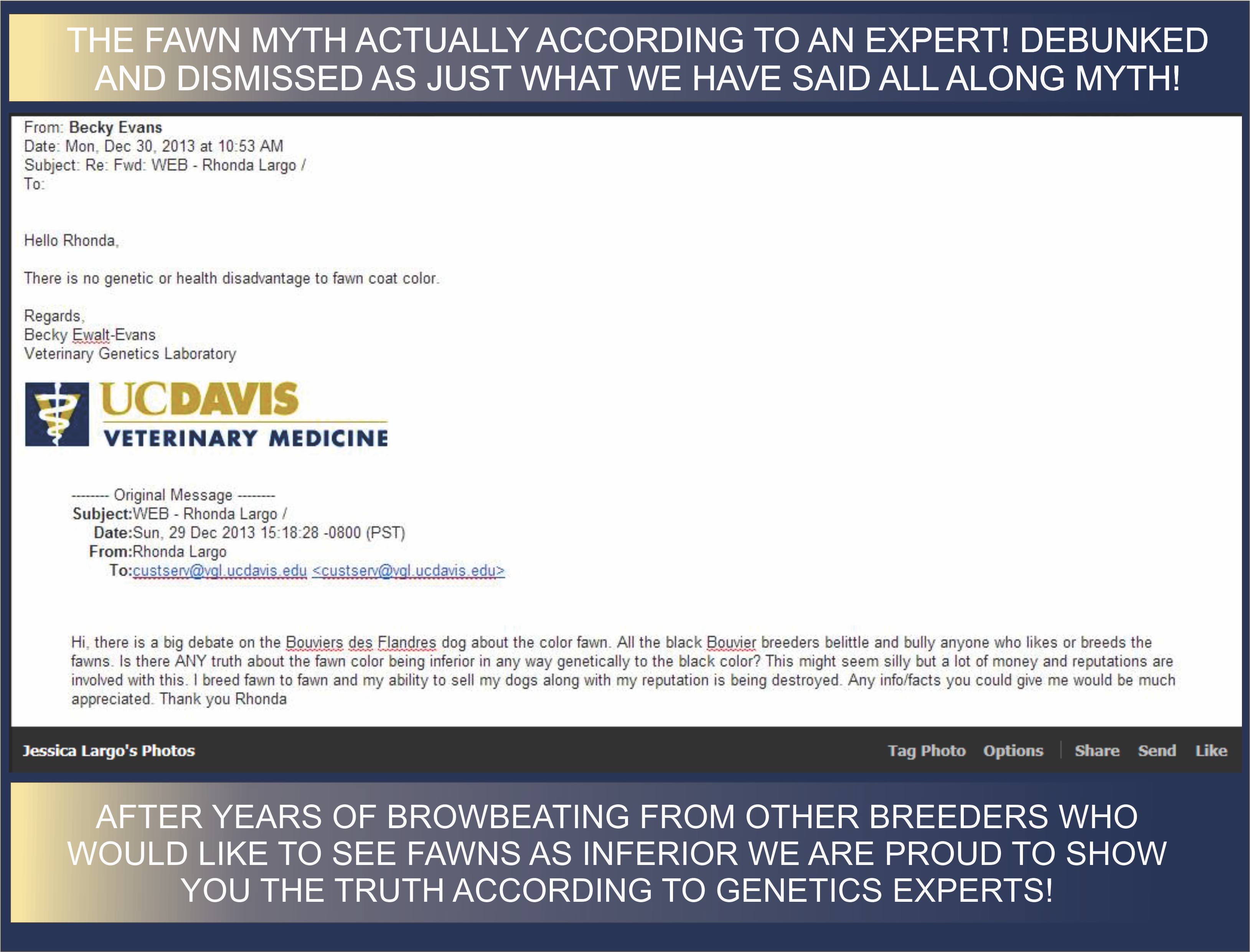 UC DAVIS LETTER THAT FAWN HAS NO ILLNESS RAMIFICATIONS IN THE BOUVIER BREED